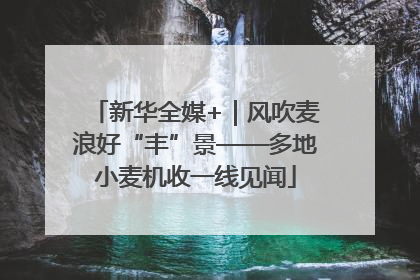 新华全媒+｜风吹麦浪好“丰”景——多地小麦机收一线见闻