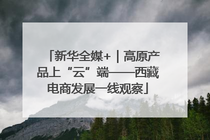 新华全媒+｜高原产品上“云”端——西藏电商发展一线观察