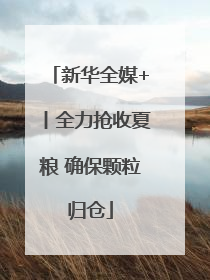 新华全媒+丨全力抢收夏粮 确保颗粒归仓