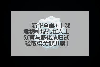 新华全媒+丨濒危物种绿孔雀人工繁育与野化放归试验取得关键进展