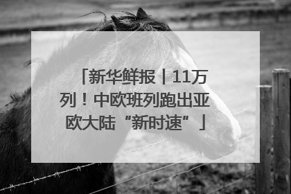 新华鲜报丨11万列！中欧班列跑出亚欧大陆“新时速”