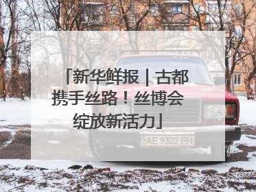 新华鲜报｜古都携手丝路！丝博会绽放新活力
