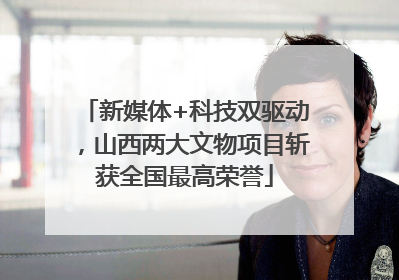 新媒体+科技双驱动，山西两大文物项目斩获全国最高荣誉