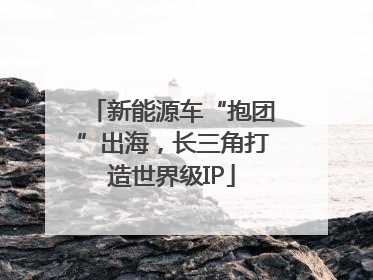 新能源车“抱团”出海，长三角打造世界级IP