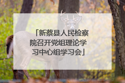 新蔡县人民检察院召开党组理论学习中心组学习会