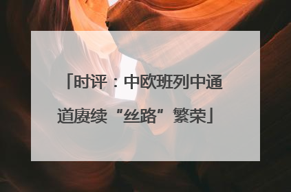 时评：中欧班列中通道赓续“丝路”繁荣