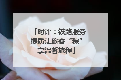 时评：铁路服务提质让旅客“粽”享温馨旅程
