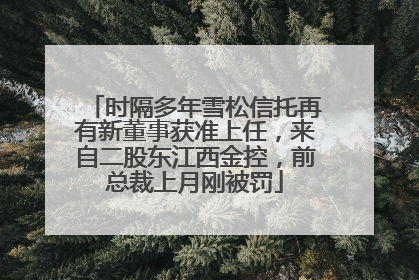 时隔多年雪松信托再有新董事获准上任，来自二股东江西金控，前总裁上月刚被罚
