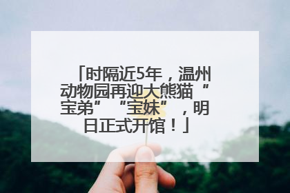 时隔近5年，温州动物园再迎大熊猫“宝弟”“宝妹”，明日正式开馆！