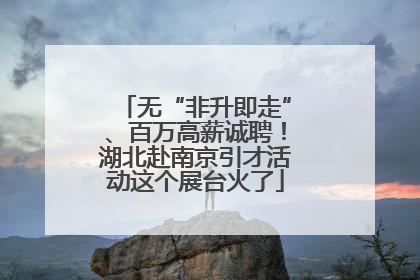 无“非升即走”、百万高薪诚聘！湖北赴南京引才活动这个展台火了