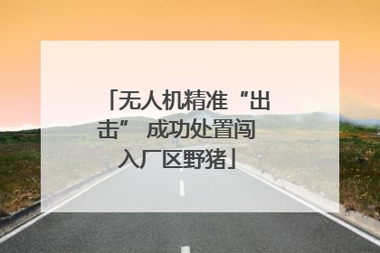 无人机精准“出击” 成功处置闯入厂区野猪