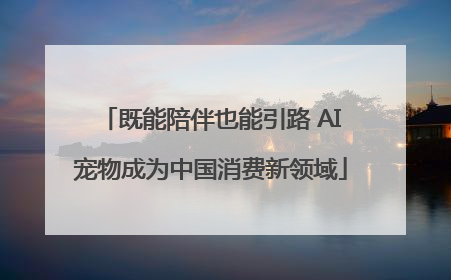 既能陪伴也能引路 AI宠物成为中国消费新领域