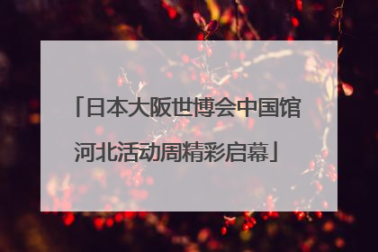 日本大阪世博会中国馆河北活动周精彩启幕