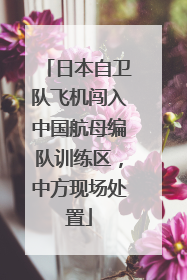 日本自卫队飞机闯入中国航母编队训练区，中方现场处置