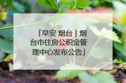 早安 烟台｜烟台市住房公积金管理中心发布公告