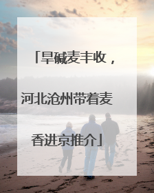 旱碱麦丰收，河北沧州带着麦香进京推介