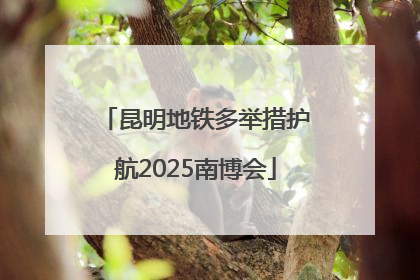 昆明地铁多举措护航2025南博会