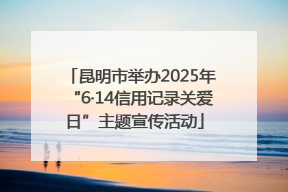 昆明市举办2025年“6·14信用记录关爱日”主题宣传活动