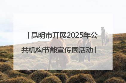 昆明市开展2025年公共机构节能宣传周活动