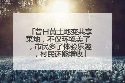 昔日黄土地变共享菜地，不仅环境美了，市民多了体验乐趣，村民还能增收