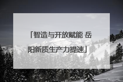 智造与开放赋能 岳阳新质生产力提速