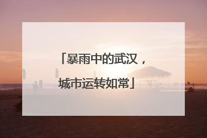 暴雨中的武汉，城市运转如常