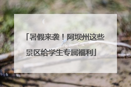 暑假来袭！阿坝州这些景区给学生专属福利