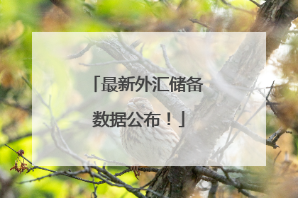 最新外汇储备数据公布！