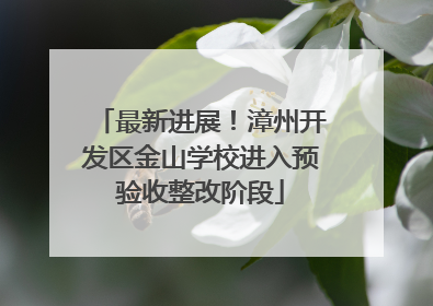 最新进展！漳州开发区金山学校进入预验收整改阶段