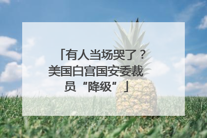 有人当场哭了？美国白宫国安委裁员“降级”