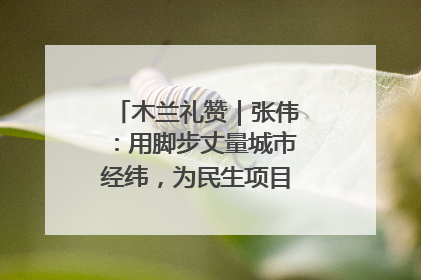 木兰礼赞｜张伟：用脚步丈量城市经纬，为民生项目按下“加速键”