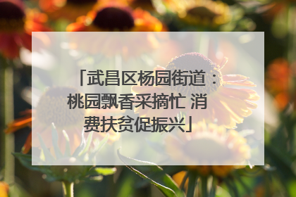 武昌区杨园街道：桃园飘香采摘忙 消费扶贫促振兴
