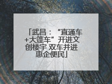 武昌：“直通车+大篷车”开进文创楼宇 双车并进惠企便民