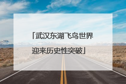 武汉东湖飞鸟世界迎来历史性突破