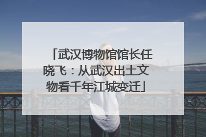 武汉博物馆馆长任晓飞：从武汉出土文物看千年江城变迁