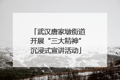 武汉唐家墩街道开展“三大精神”沉浸式宣讲活动