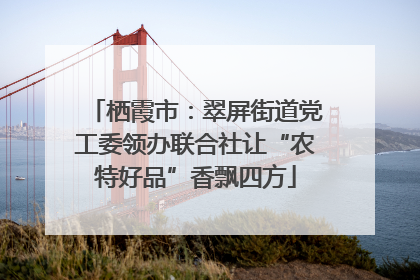 栖霞市：翠屏街道党工委领办联合社让“农特好品”香飘四方