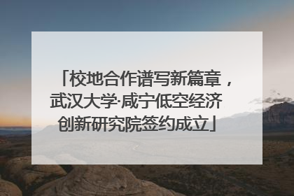 校地合作谱写新篇章，武汉大学·咸宁低空经济创新研究院签约成立
