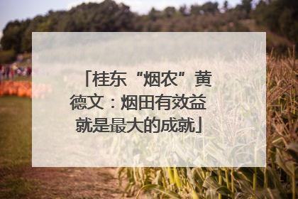 桂东“烟农”黄德文：烟田有效益就是最大的成就