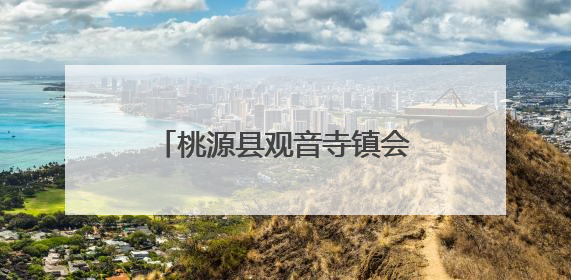 桃源县观音寺镇会人溪村党支部的“48小时”救援纪实