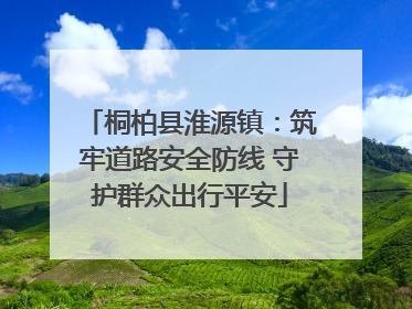 桐柏县淮源镇：筑牢道路安全防线 守护群众出行平安