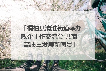 桐柏县清淮街道举办政企工作交流会 共商高质量发展新图景