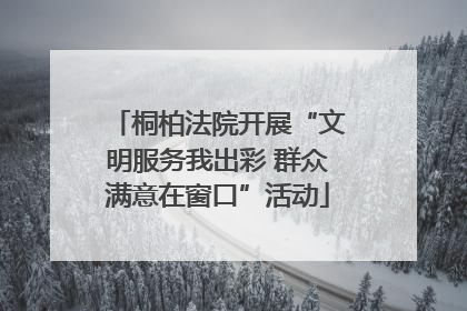 桐柏法院开展“文明服务我出彩 群众满意在窗口”活动