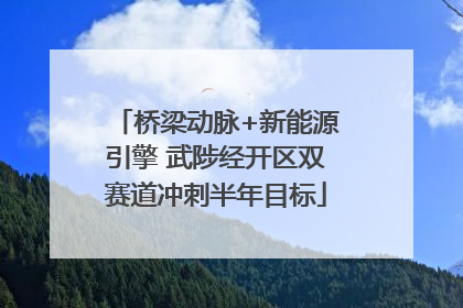 桥梁动脉+新能源引擎 武陟经开区双赛道冲刺半年目标
