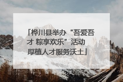 桦川县举办“吾爱吾才 粽享欢乐”活动 厚植人才服务沃土