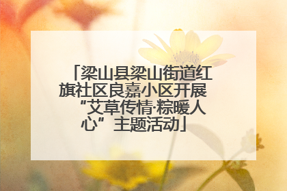 梁山县梁山街道红旗社区良嘉小区开展“艾草传情·粽暖人心”主题活动