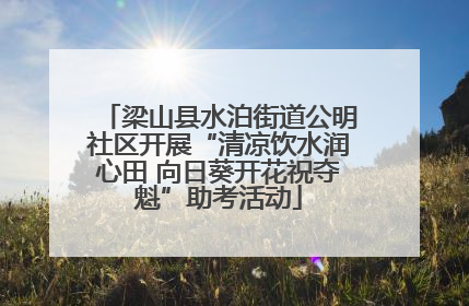 梁山县水泊街道公明社区开展“清凉饮水润心田 向日葵开花祝夺魁”助考活动