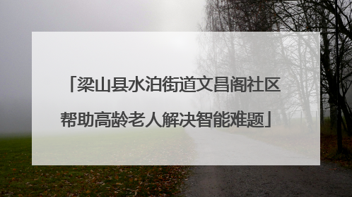 梁山县水泊街道文昌阁社区帮助高龄老人解决智能难题