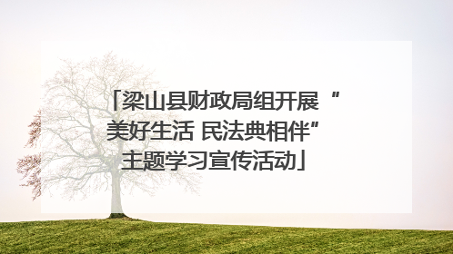 梁山县财政局组开展“美好生活 民法典相伴”主题学习宣传活动