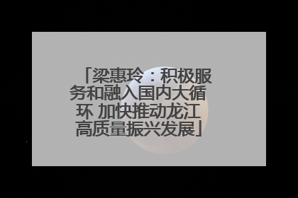 梁惠玲：积极服务和融入国内大循环 加快推动龙江高质量振兴发展